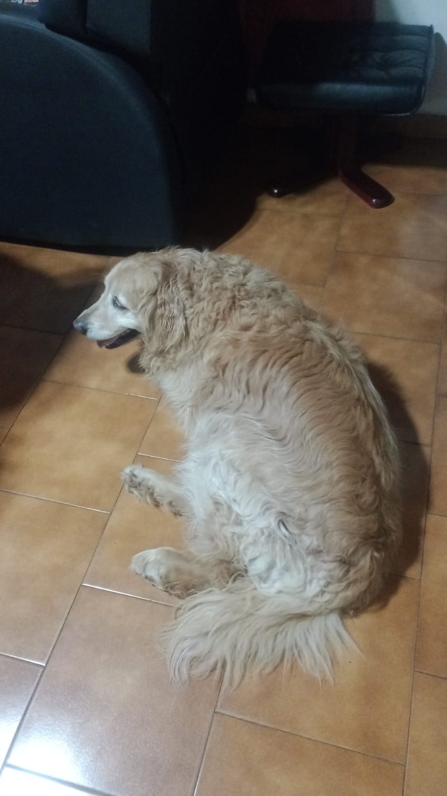 WhatsApp Image 2026-01-01 at 12.14.26 AM.jpeg